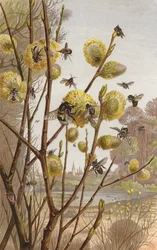 Image printanière de la vie des insectes